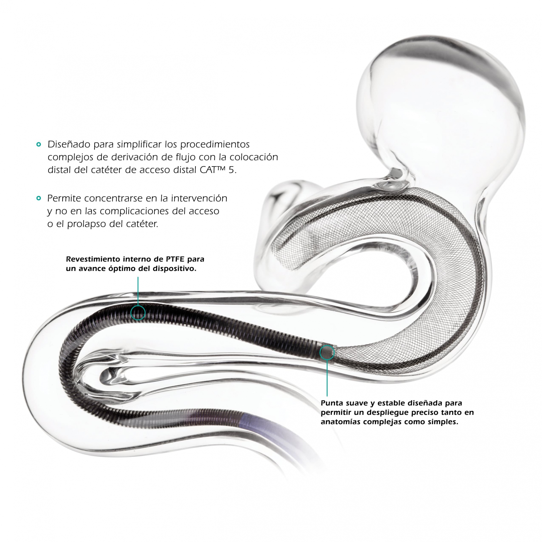 SNV-2513_EB_File_Requests_2018_CO7_Glass_Vessel_Img-ES_1888_1888_s_c1